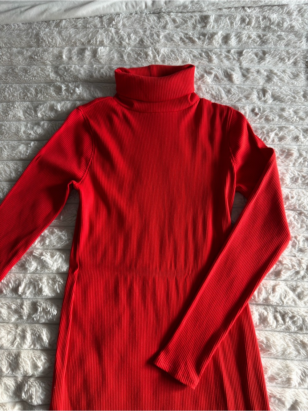 wild fable Red Ribbed Turtleneck Sweater